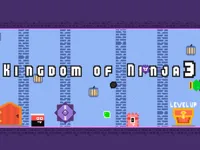 image bg Kingdom of Ninja 3