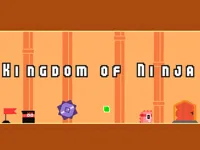 image bg Kingdom of Ninja