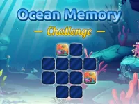 image bg Ocean Memory Challenge