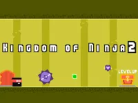 image bg Kingdom of Ninja 2