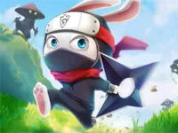 image bg Ninja Rabbit