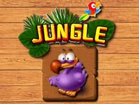 image bg Jungle Matching