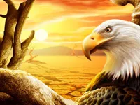 image bg Eagle Slide