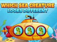 image bg Which Sea Creature Looks Different